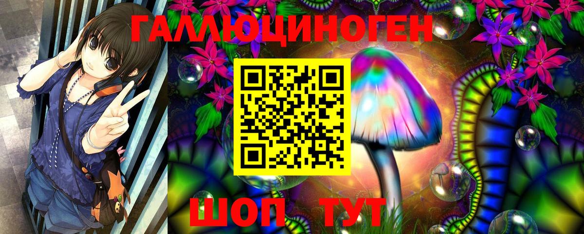 Сергиев Посад  Галлюциногенные грибы Psilocybine cubensis  Вход с VPN 